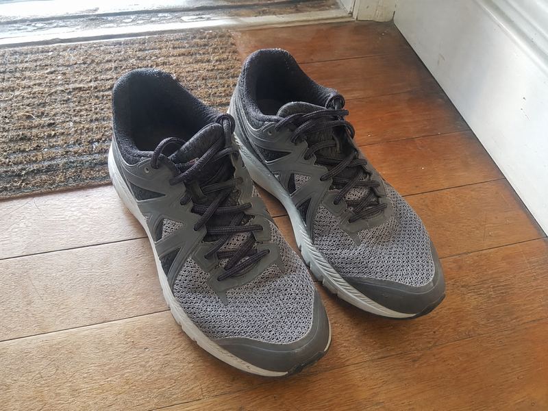 Nike Pegasus 40, US10