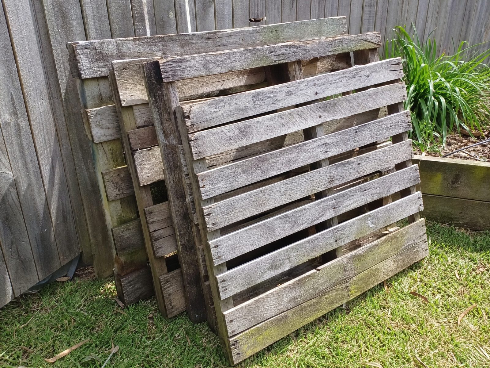 Old timber pallets